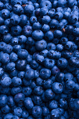Fresh blueberry background. Texture blueberry berries close up.