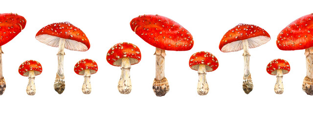 Endless watercolor frame with poisonous mushrooms for banners, wallpapers, ornaments, stationery