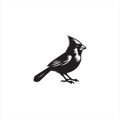 Black Silhouette Vector bird on a branch