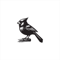 Black Silhouette Vector bird on a branch