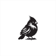Black Silhouette Vector bird on a branch