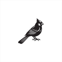 Black Silhouette Vector bird on a branch