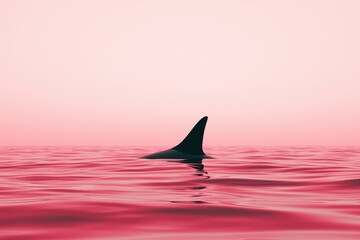 Fototapeta premium Shark fin emerging from tranquil waters at sunset ocean photography serene environment aesthetic viewpoint