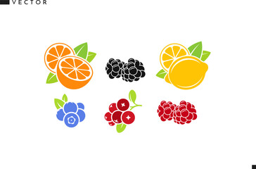 Fresh fruit with berries vector. Isolated orange fruit lemon raspberry blackberry blueberry and cranberry