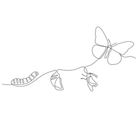 Continuous one line drawing of butterfly life cycle . Single line drawing illustration of perfect metamorphosis . Butterfly concept vector art. Doodle line illustration.