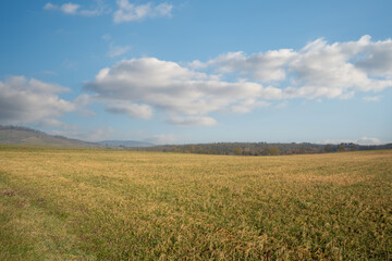 Obraz premium beautiful landscape with blue sky