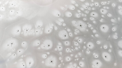 Zamarznięta tafla jeziora, wzory stworzone przez naturę, Frozen lake surface, patterns created by nature © Michal Przystas