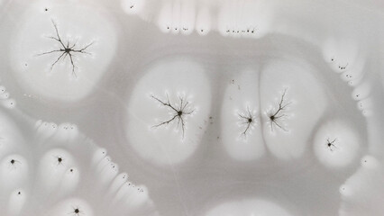 Zamarznięta tafla jeziora, wzory stworzone przez naturę, Frozen lake surface, patterns created by nature © Michal Przystas