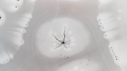 Zamarznięta tafla jeziora, wzory stworzone przez naturę, Frozen lake surface, patterns created by nature © Michal Przystas