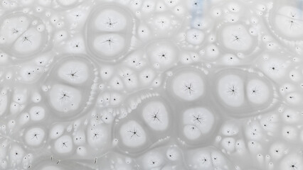 Zamarznięta tafla jeziora, wzory stworzone przez naturę, Frozen lake surface, patterns created by nature © Michal Przystas