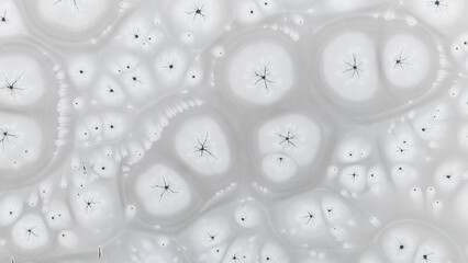 Zamarznięta tafla jeziora, wzory stworzone przez naturę, Frozen lake surface, patterns created by nature © Michal Przystas
