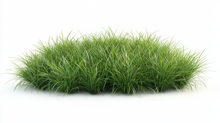 A cutout of a lush meadow grass field, isolated on a pure white background 