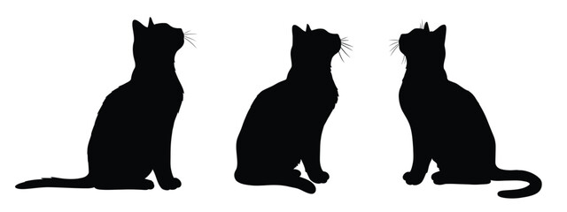 Three Silhouettes of Cats with white background