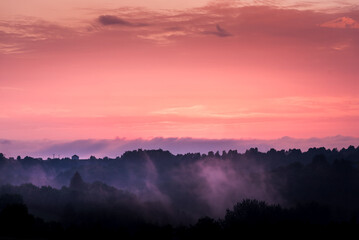 Coucher de soleil rosé avec de la brume montant de la forêt au premier plan