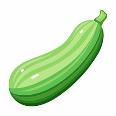 zucchini isolated on white