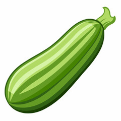 zucchini isolated on white