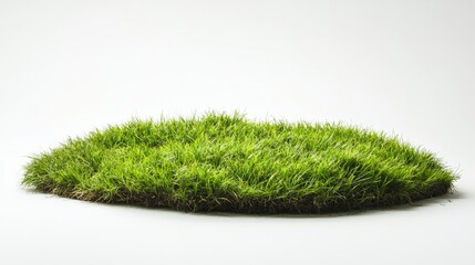 Fototapeta premium A patch of fresh green grass from a meadow, cleanly cut out on white 