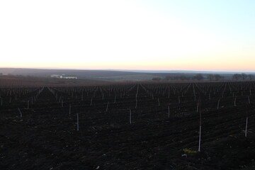 Obraz premium A field with a sign and a sunset in the background