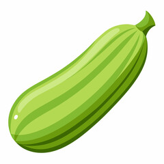 zucchini isolated on white