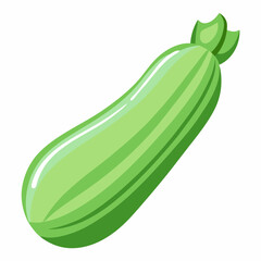 zucchini isolated on white