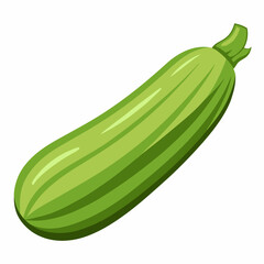 zucchini isolated on white
