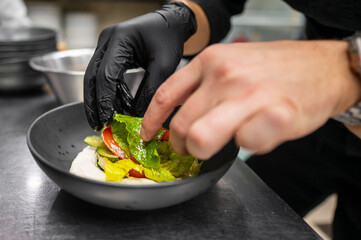 A chef delicately arranges fresh vegetables, including lettuce and tomatoes, in a black bowl. Wearing black gloves, they skillfully prepare a colorful dish in a modern kitchen setting.