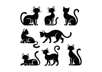 Cat vector illustration, cat vector, Illustrations 
