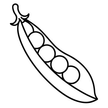 recommend clip art: Peas Sketch in One-Line Vector Design