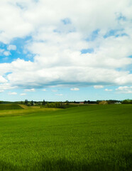 Green fields in Kashubia region - Northern Poland.