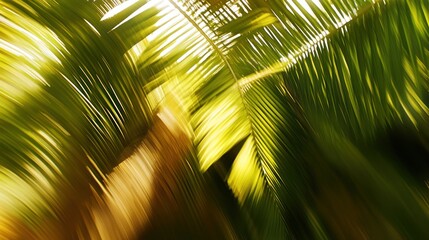 Tropical palm leaves blurred motion, sunlight, background greenery, travel brochure