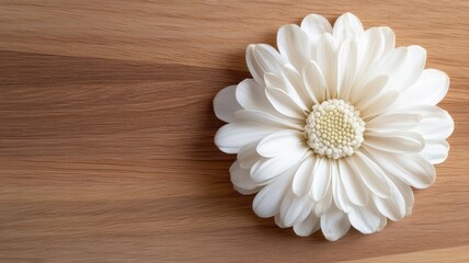 Obraz premium White flower on wooden background showcasing natural elegance