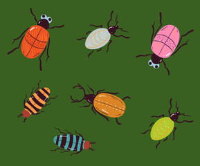 Beetle insect cute bug ladybug isolated set concept. Vector design graphic illustration
