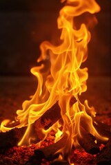 Fototapeta premium Burning Wood and Flames in Fireplace