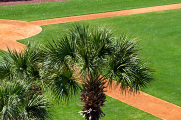 Fields and Skies at the Ballpark