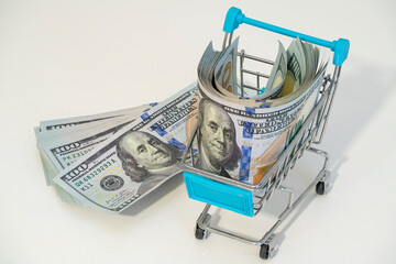 Shopping cart filled with cash for investment and financial planning