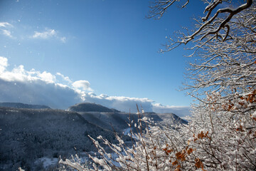 Winterwelt die F&uuml;nfte