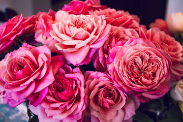 Beautiful Roses for My Love