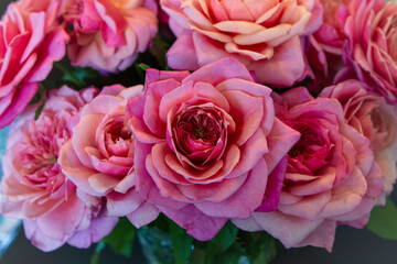 Beautiful Roses for My Love