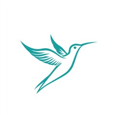 Fototapeta premium Teal hummingbird in flight, white background, nature, design
