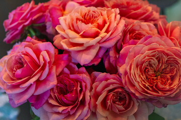 Beautiful Roses for My Love