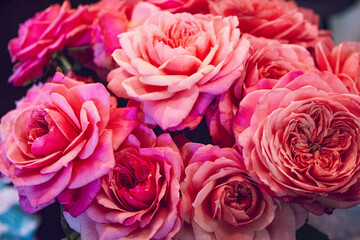 Beautiful Roses for My Love