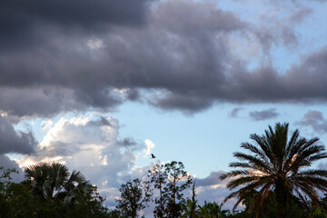 Cloudy Skies in a Tropical Setting