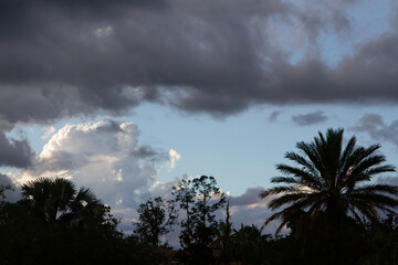 Cloudy Skies in a Tropical Setting