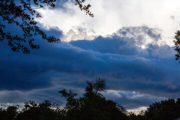 Cloudy Skies in a Tropical Setting