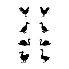 Farm animals on white background.