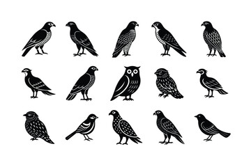 set of different birds vector illustration