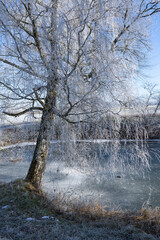 Chiemsee Winter