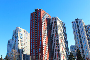 tree bark natural background texture