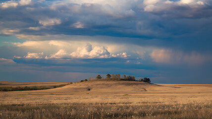 Fototapeta premium Vast prairie under dramatic skies, golden grass fields, solitary hill with ancient trees, and contrasting sunlight and storm clouds