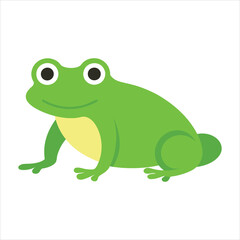 green frog isolated on white